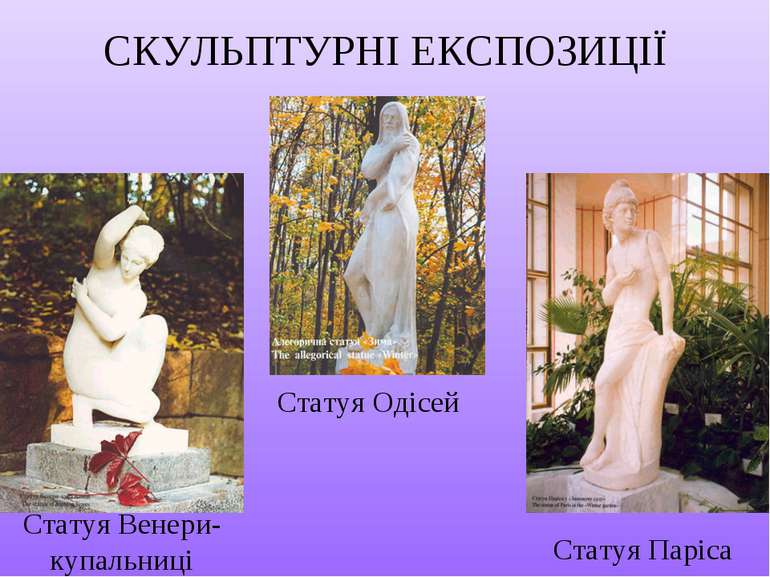 СКУЛЬПТУРНІ ЕКСПОЗИЦІЇ Статуя Одісей Статуя Венери-купальниці Статуя Паріса