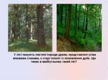 У лісі панують листяні породи дерев, представлені усіма віковими станами, є с...