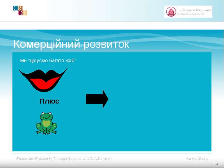 Комерційний розвиток Ми “цілуємо багато жаб” Плюс 12