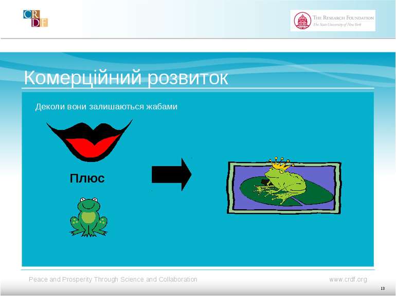 Комерційний розвиток Деколи вони залишаються жабами Плюс 13