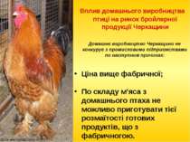 Вплив домашнього виробництва птиці на ринок бройлерної продукції Черкащини До...
