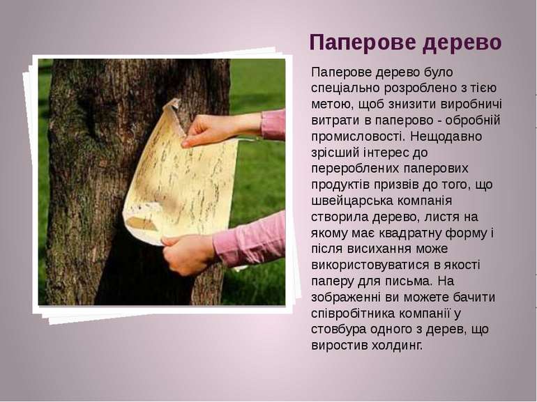 Паперове дерево Паперове дерево було спеціально розроблено з тією метою, щоб ...