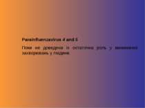 Parainfluenzavirus 4 and 5 Поки не доведена їх остаточна роль у виникненні за...