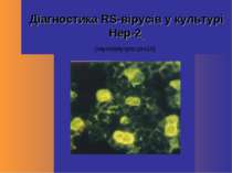 Діагностика RS-вірусів у культурі Hep-2 (імунофлуоресценція)