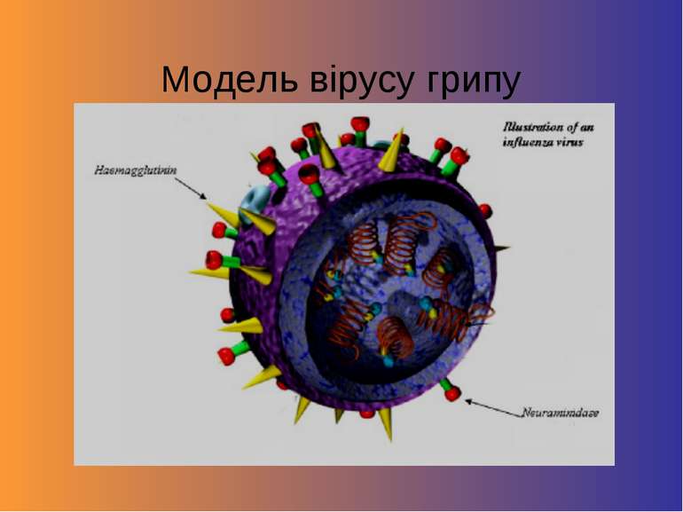 Модель вірусу грипу