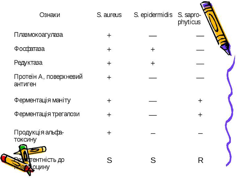 Ознаки S. aureus S. epidermidis S. sapro-phyticus Плазмокоагулаза + — — Фосфа...