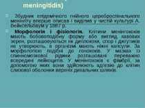 Менінгококи (Neisseria meningitidis)    Збудник епідемічного гнійного церебро...