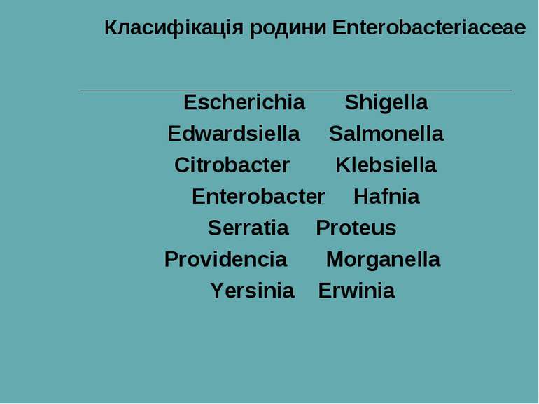 Класифікація родини Enterobacteriaceae Escherichia Shigella Edwardsiella Salm...