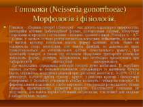 Гонококи (Neisseria gonorrhoeae)    Морфологія і фізіологія. Гонокок - збудни...