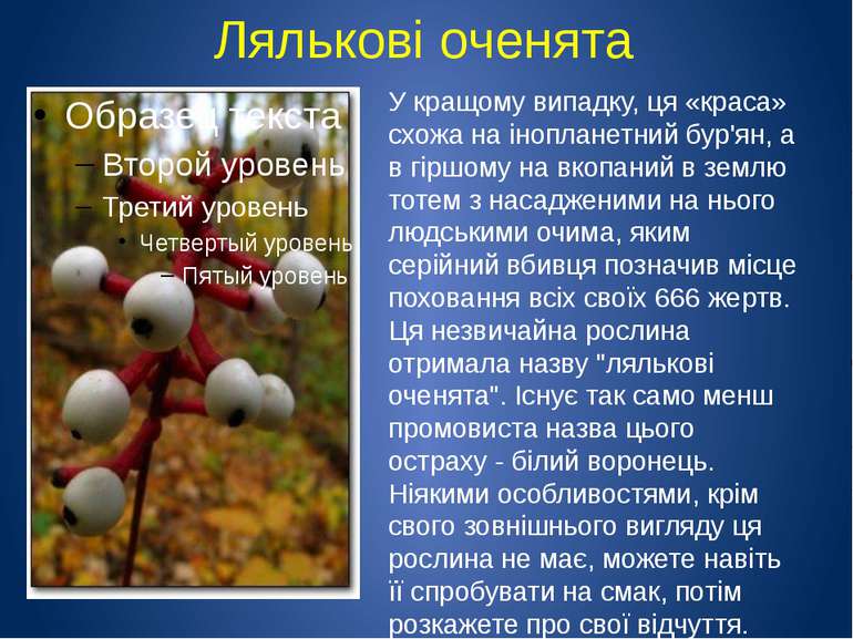 Лялькові оченята У кращому випадку, ця «краса» схожа на інопланетний бур'ян, ...