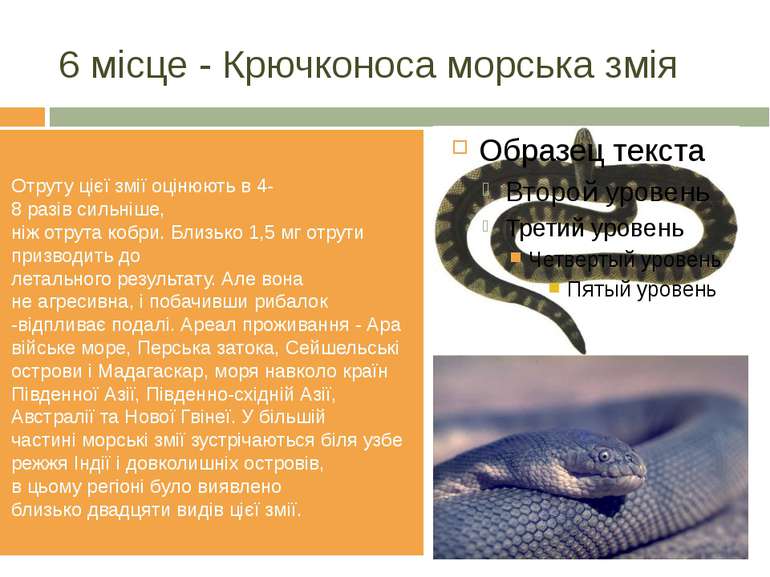 6 місце - Крючконоса морська змія Отруту цієї змії оцінюють в 4-8 разів сильн...