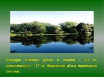 Середня глибина Десни в Україні – 2-4 м, максимальна – 17 м. Живлення річки п...