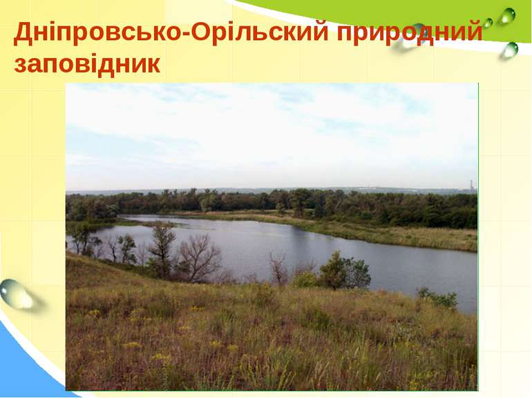 Дніпровсько-Орільский природний заповідник