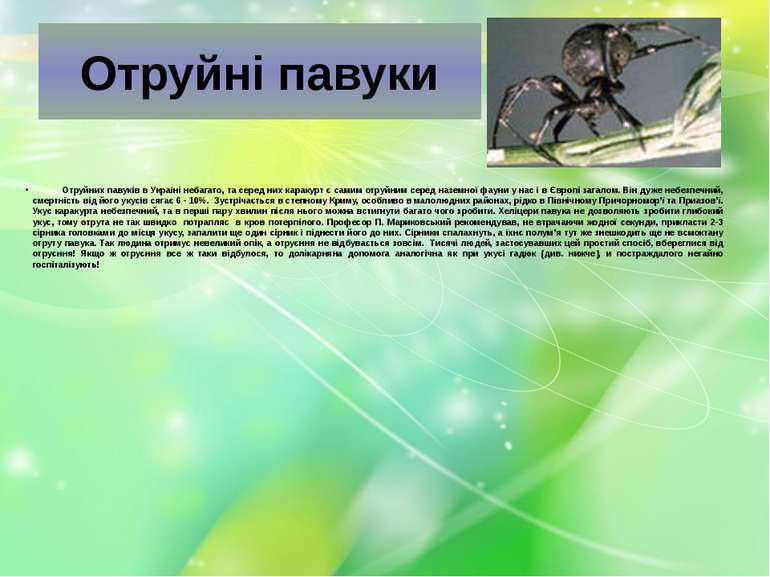 Отруйні павуки             Отруйних павуків в Україні небагато, та серед них ...