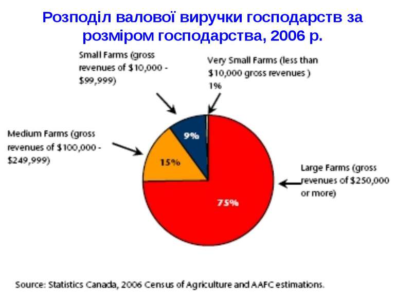 Розподіл валової виручки господарств за розміром господарства, 2006 р.