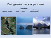 Походження озерних улоговин Тектонічні: Великі озера Танганьїка (Африка) Байк...