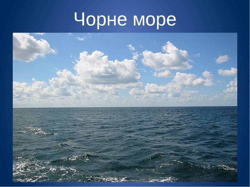 Тест у черного моря 4. Доклад про море. Проект про море 4 класс. У черного моря 4 класс. Чорне море цікаві факти.