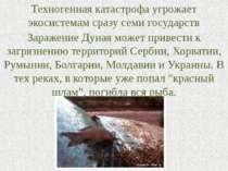 Техногенная катастрофа угрожает экосистемам сразу семи государств Заражение Д...