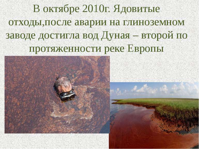 В октябре 2010г. Ядовитые отходы,после аварии на глиноземном заводе достигла ...