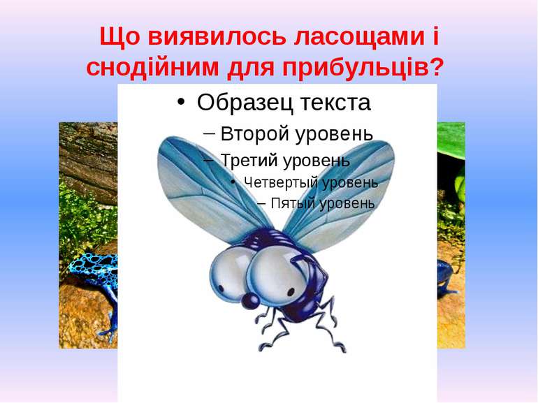 Що виявилось ласощами і снодійним для прибульців?