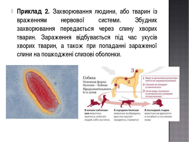Приклад 2. Захворювання людини, або тварин із враженням нервової системи. Збу...