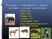 Різниця в інтенсивності обміну речовин у різних організмів. * Слон - 0,33 Кін...