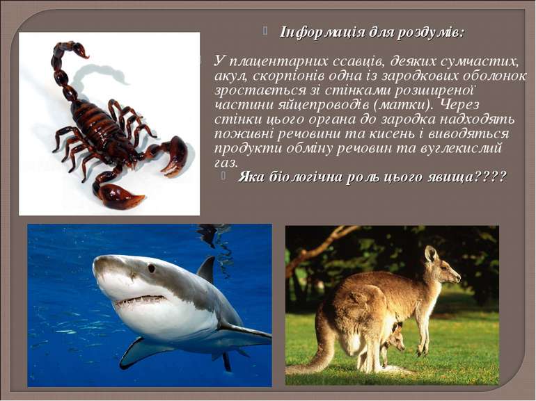 Інформація для роздумів: У плацентарних ссавців, деяких сумчастих, акул, скор...
