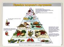 * Піраміда здорового харчування