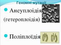 Геномні мутації Анеуплоідія (гетероплоідія) Поліплоїдія