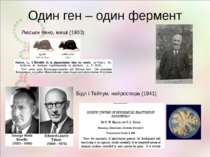 Один ген – один фермент Люсьєн Кено, миші (1903) Бідл і Тейтум, нейроспора (1...