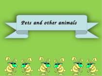 Pets and other animals