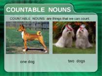 СOUNTABLE NOUNS СOUNTABLE NOUNS are things that we can count. one dog two dogs