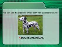 A DOG IS AN ANIMAL. We can use the indefinite article a/an with countable nouns: