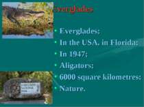 Everglades Everglades; In the USA, in Florida; In 1947; Aligators; 6000 squar...