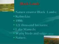 Black Lands Nature reserve Black Lands; Kalmykia; 1990; 121 thousand hectares...