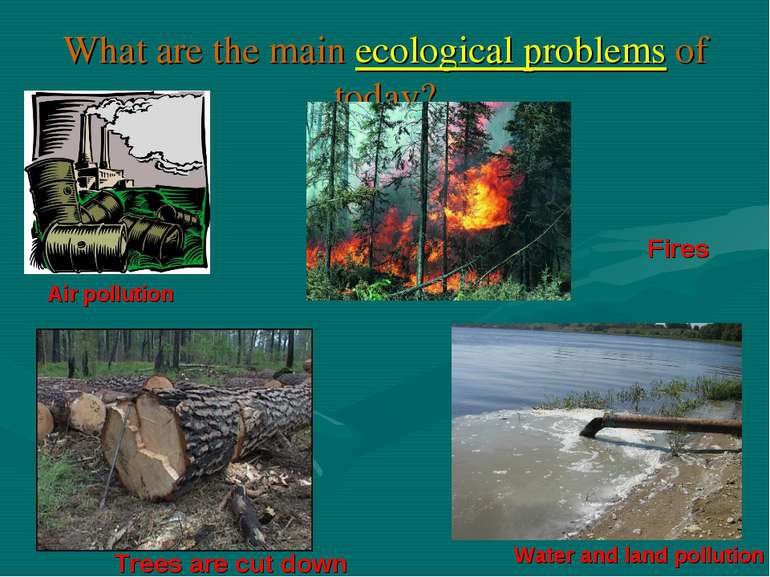 What are the main ecological problems of today? Air pollution Water and land ...