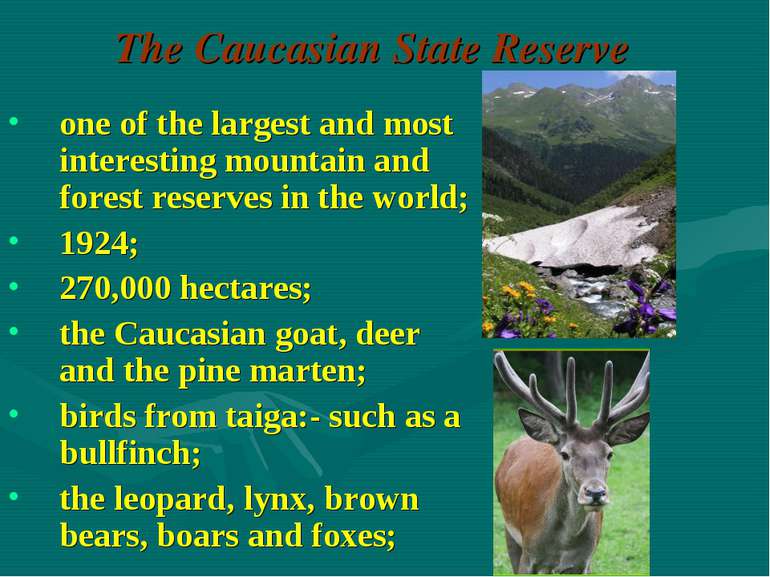 The Caucasian State Reserve one of the largest and most interesting mountain ...