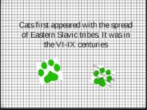 Cats first appeared with the spread of Eastern Slavic tribes. It was in the V...