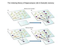 The indexing theory of hippocampus role in Episodic memory