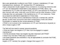 Mice were genetically modified to lack PKMζ. However, established LTP was mai...