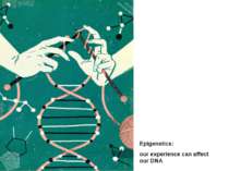 Epigenetics: our experience can affect our DNA
