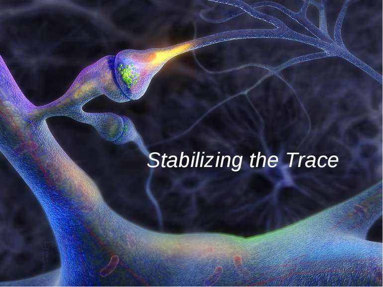 Stabilizing the Trace