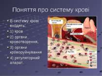 Поняття про систему крові В систему крові входять: 1) кров 2) органи кровотво...