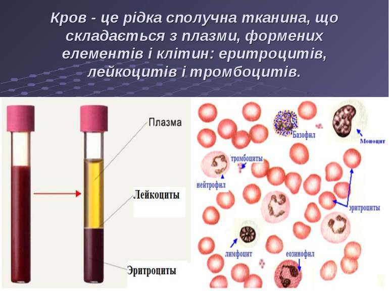 Кров - це рідка сполучна тканина, що складається з плазми, формених елементів...