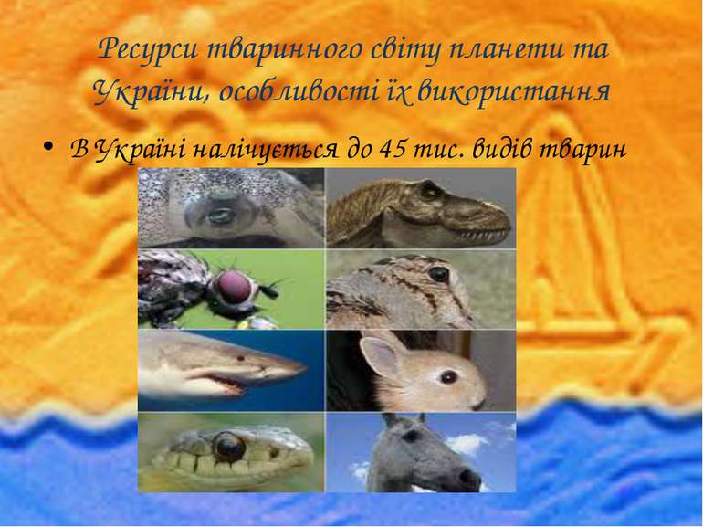 Ресурси тваринного світу планети та України, особливості їх використання В Ук...
