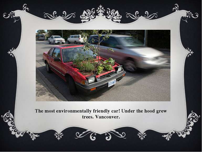 The most environmentally friendly car! Under the hood grew trees. Vancouver.