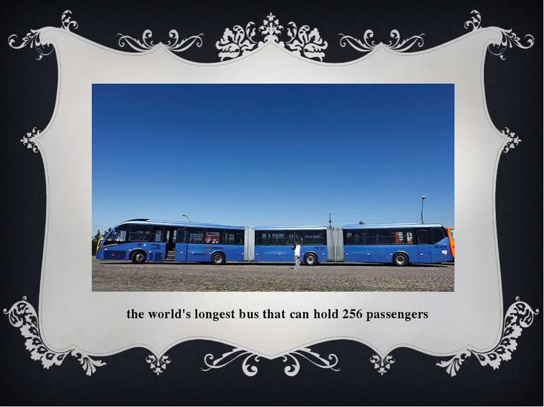 the world's longest bus that can hold 256 passengers