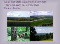 Da es hier viele Wälder gibt,nennt man Thüringen auch das «grüne Herz Deutsch...