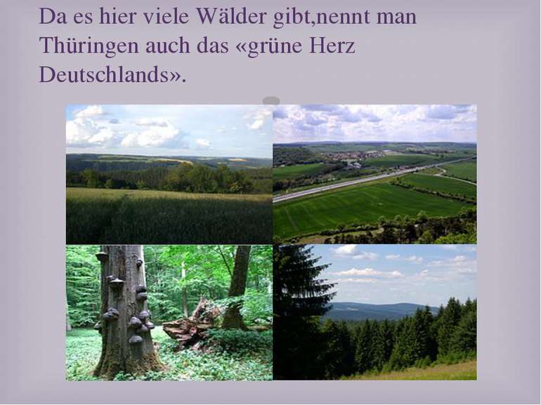 Da es hier viele Wälder gibt,nennt man Thüringen auch das «grüne Herz Deutsch...