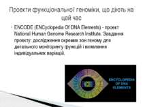 ENCODE (ENCyclopedіa Of DNA Elements) - проект Natіonal Human Genome Research...